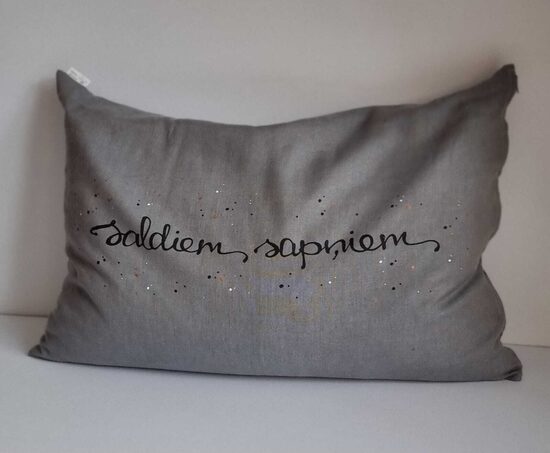 LIELI GRIĶU SPILVENI AR UZRAKSTIEM UN ZĪMĒJUMIEM